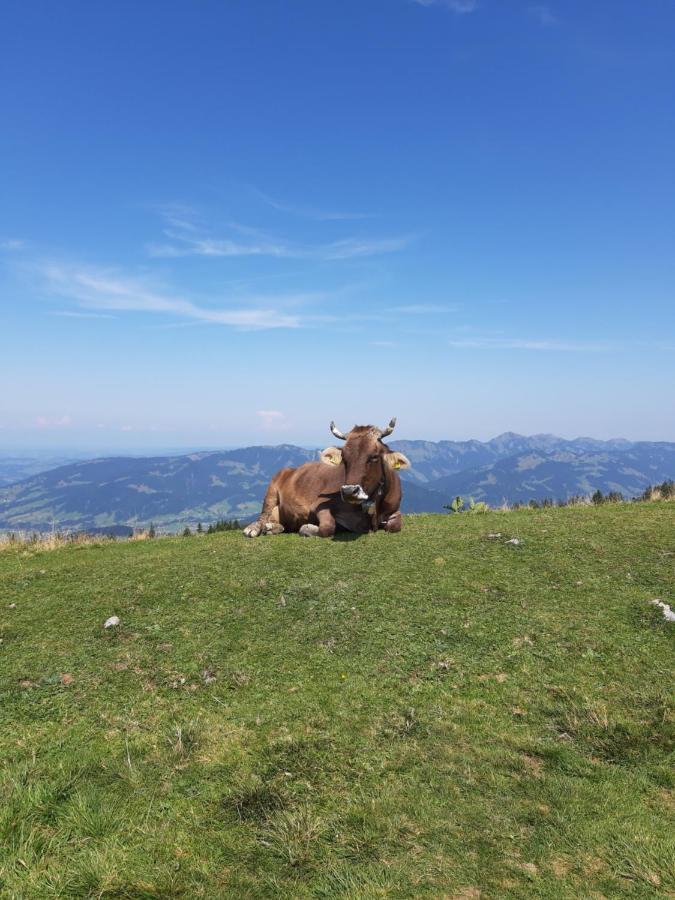 Haus Berghof Bed & Breakfast Schröcken Dış mekan fotoğraf